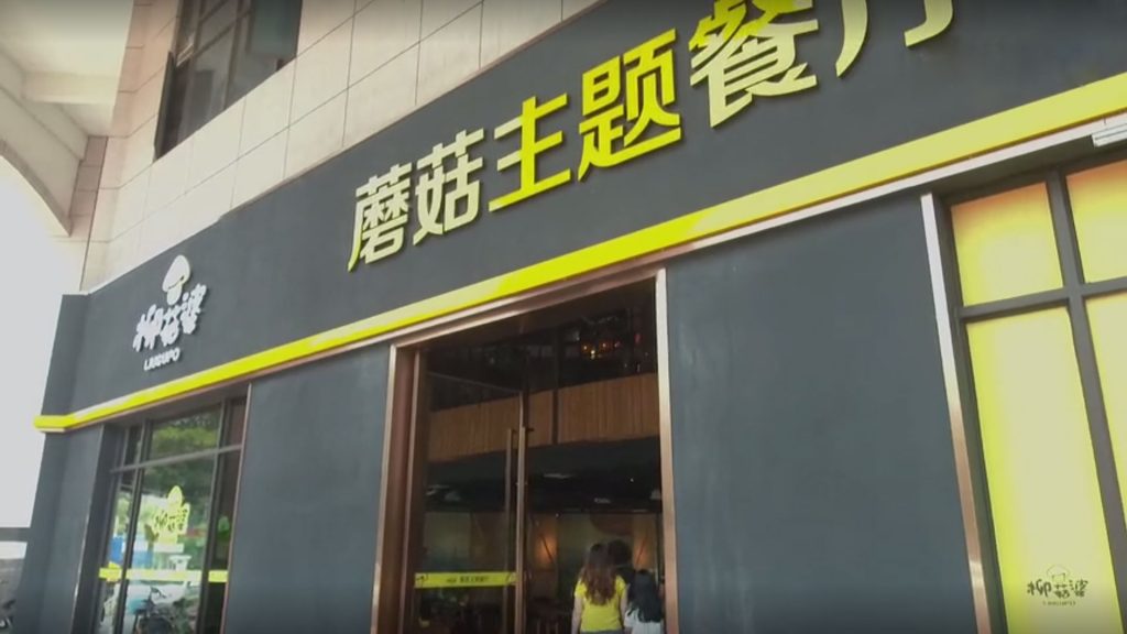 柳菇婆
